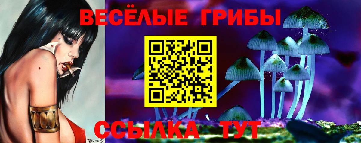Галлюциногенные грибы Cubensis  цены   Борисоглебск  Вход с VPN 